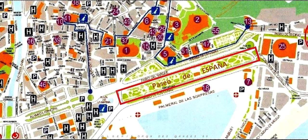 231- Plan Malaga Centre .jpg